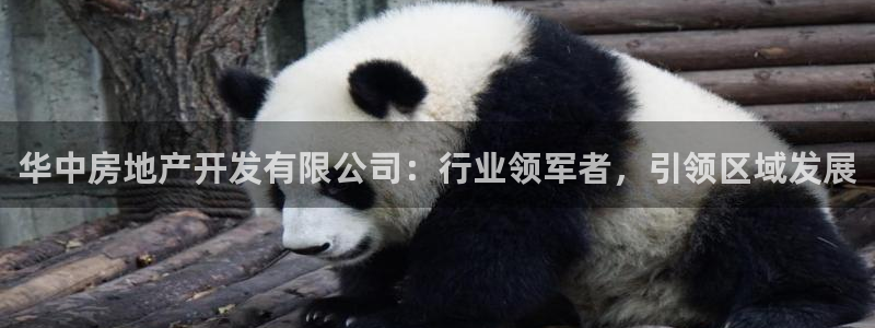 永利厂牌