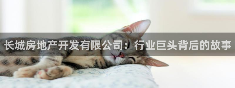 永利输的钱可以弄回来吗是真的吗