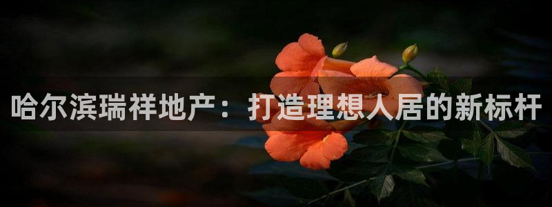 永利提现什么时候到账