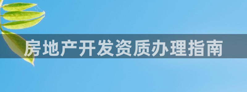 永利制带