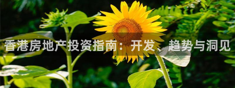 永利链条