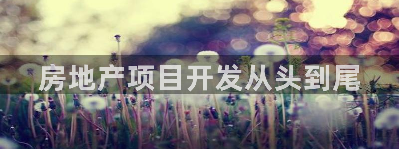 永利技术有限公司