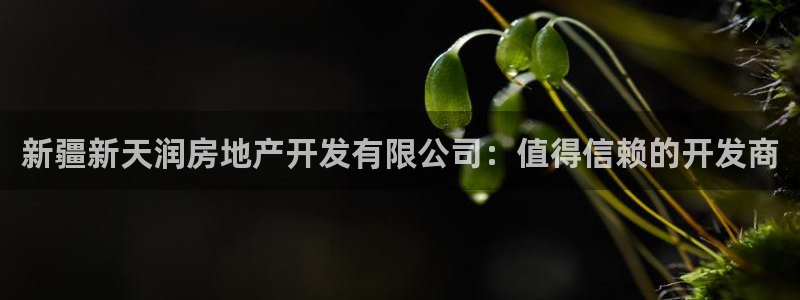 永利 老板