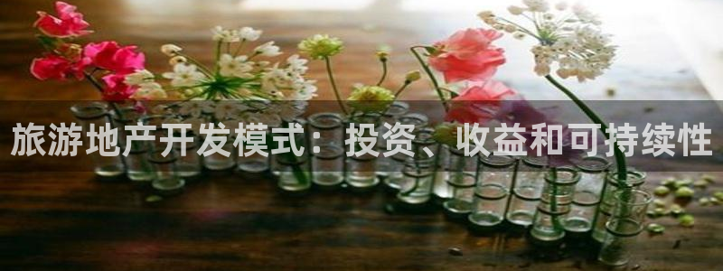 永利皮带型号说明书