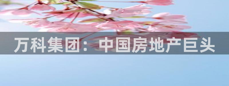 永利房地产开发有限公司总经理
