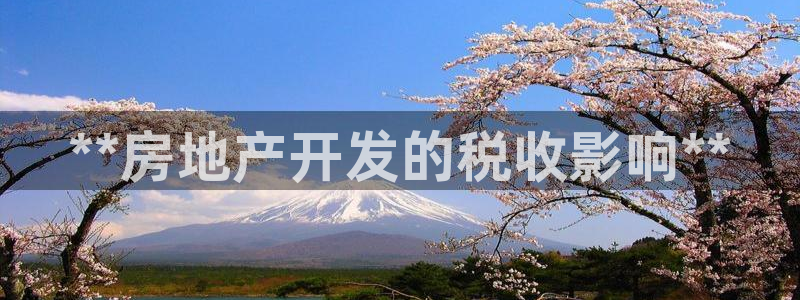 永利皇府黄立青简历