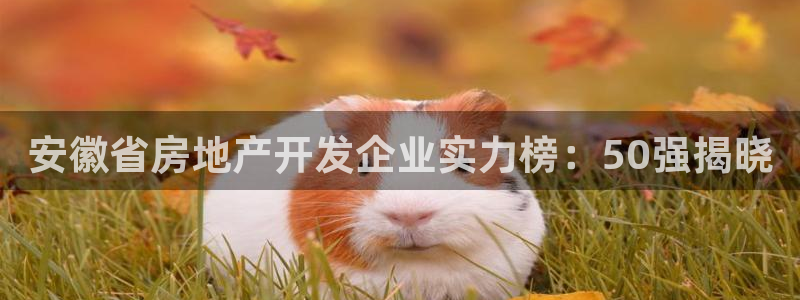 永利会员卡级别及福利
