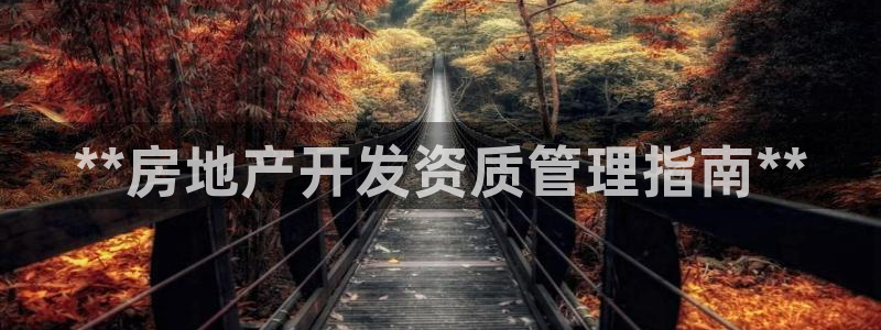 永利房地产开发有限公司总经理