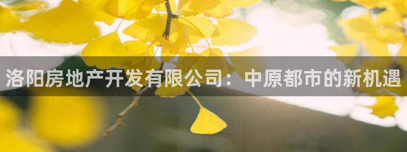 永利股吧