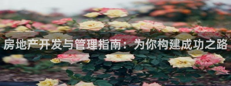 浙江永利集团董事长