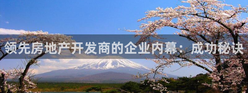 永利建筑工程有限公司董事长