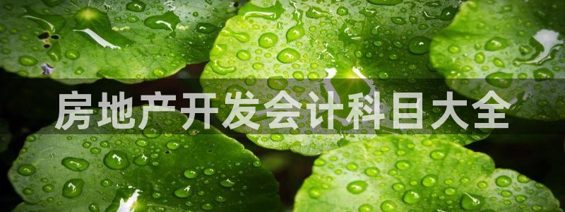 永利股份产品介绍