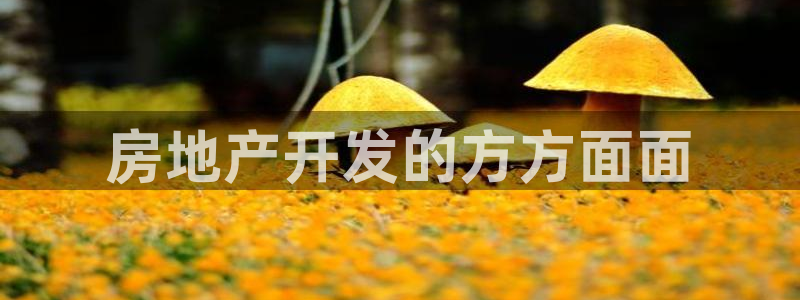 永利地产怎么样