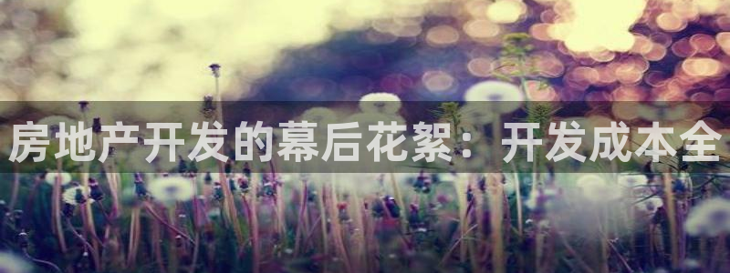 永利家具厂怎么样