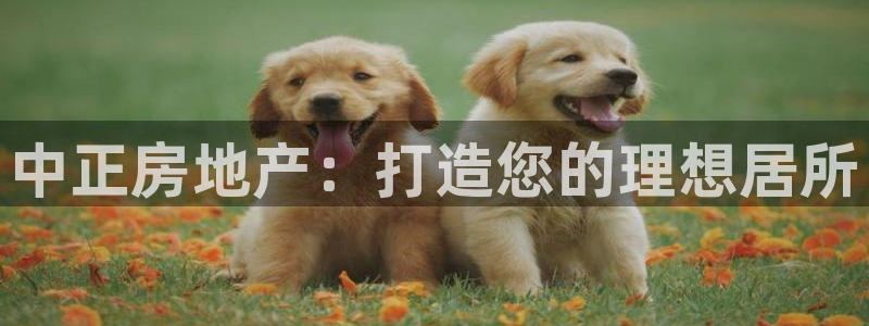 永利公司是做什么的