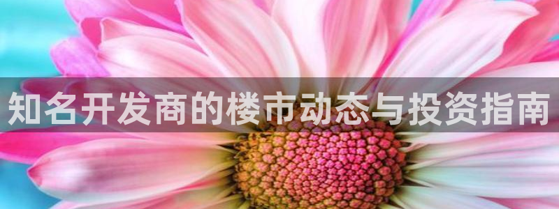 永利背一分什么价格