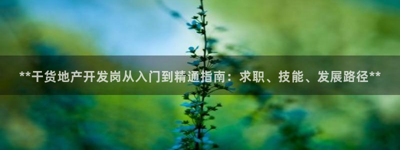 澳门永利误乐城图片