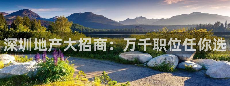 永利游乐城网址查询
