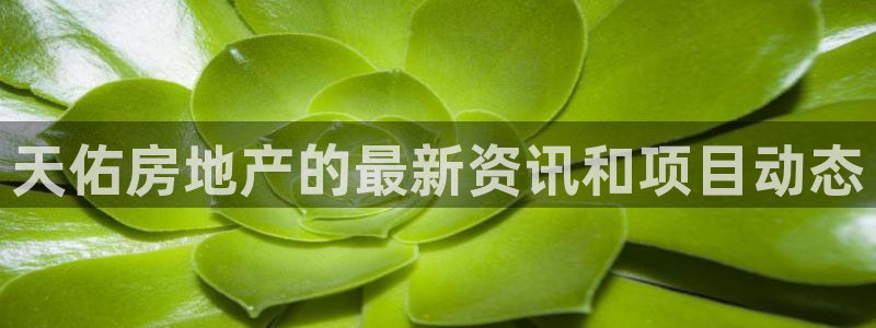 永利保险公司介绍