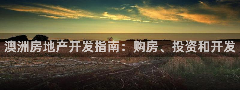 永利输送带