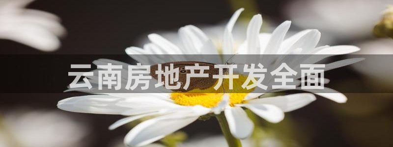 永利提现什么时候到账