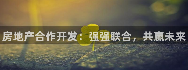 永利资管幕后老板