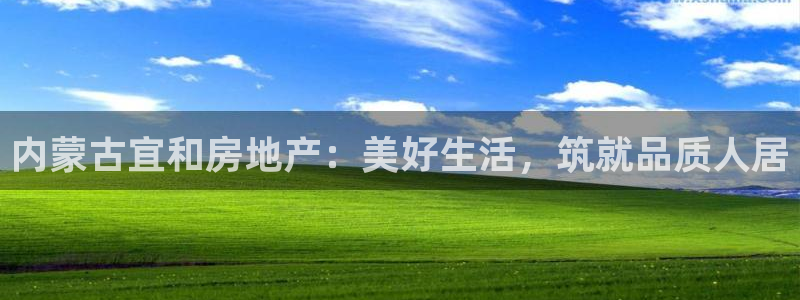 永利皮带型号说明书图片