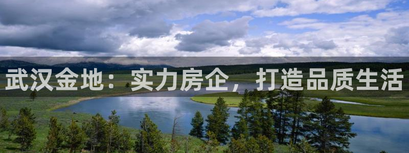 永利地产工程有限公司