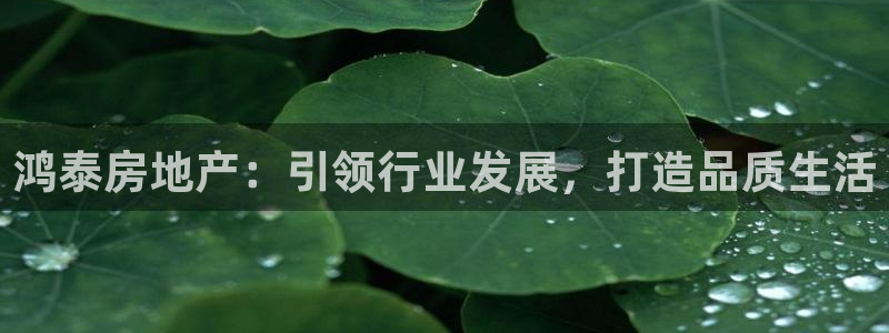 永利股份产品介绍