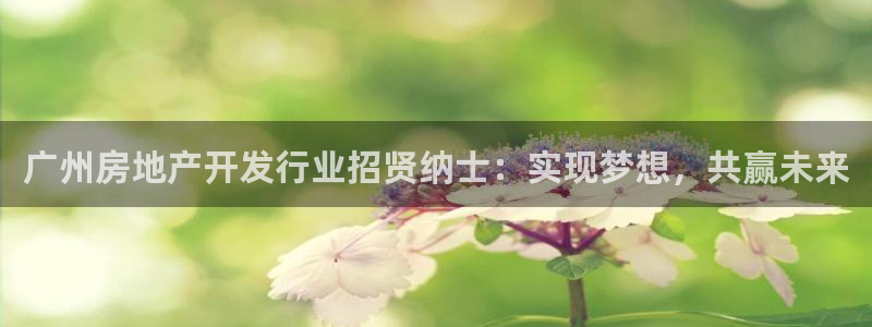为什么永利网址打不开