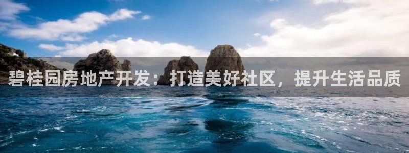 永利皮带官网价格查询
