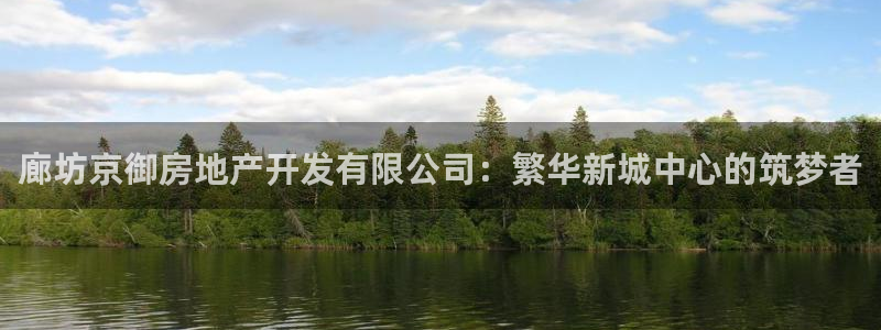 永利皮革