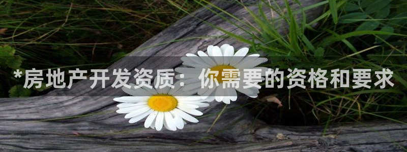 永利工程有限公司