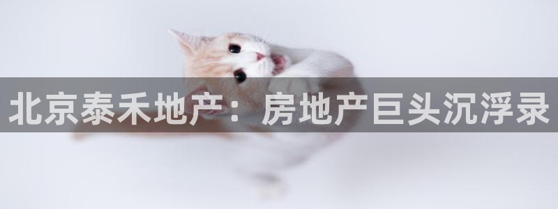 永利中国