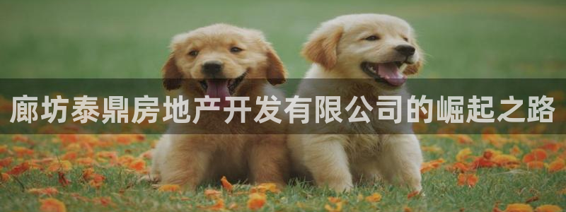 14m永利官网