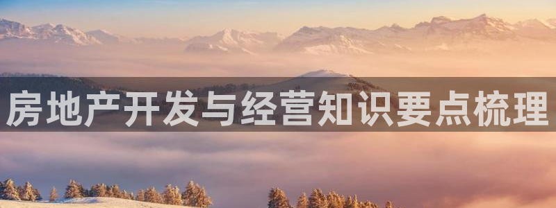 永利厂牌