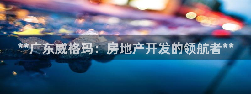 永利带业高管人员