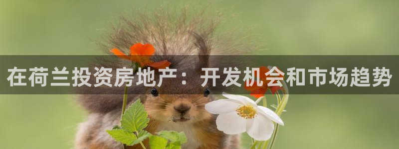 永利公司简介