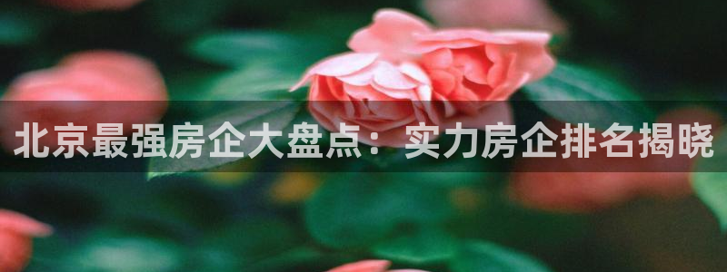 永利皮带官网旗舰店
