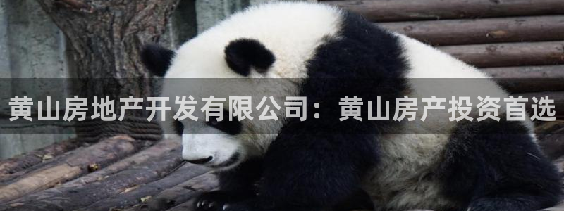 永利中国的老板是谁