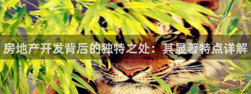 永利股份两大最新消息是什么