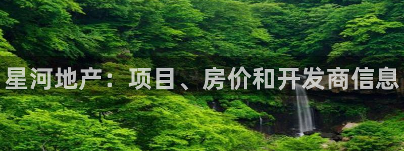 永利金控控股有限公司