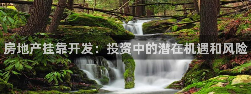 永利提不了款怎么办