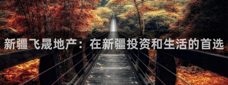 永利输的钱可以弄回来吗