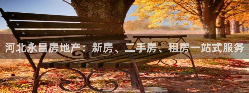 永利皮带型号说明书