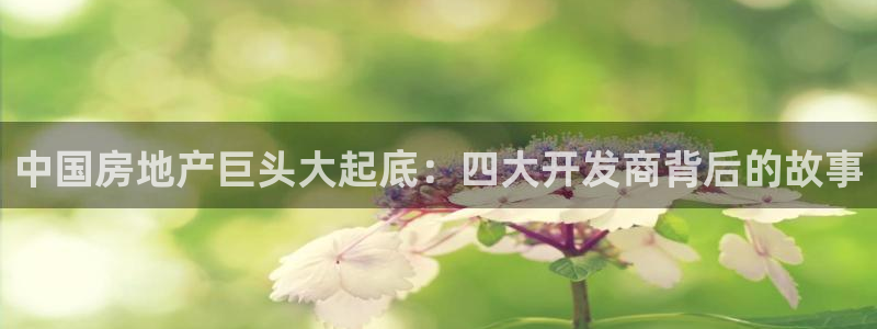 永利金文化有限公司