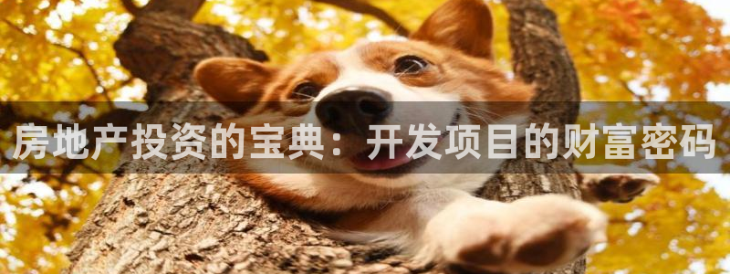 永利建材有限公司