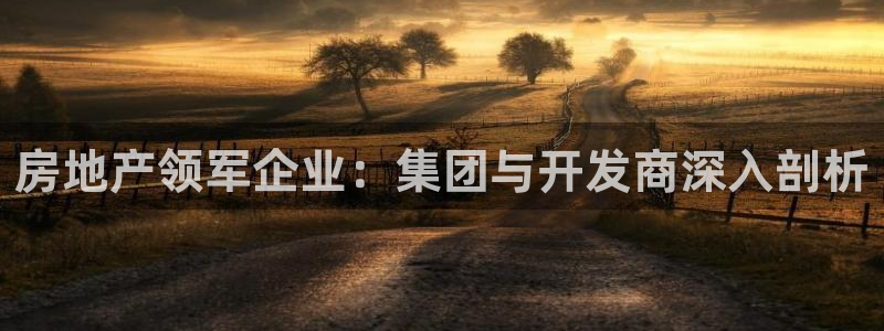 永利公司是干嘛的