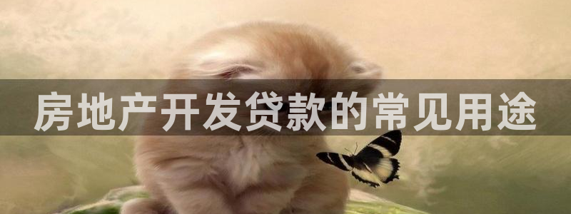永利皮带型号说明