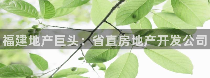绍兴永利集团董事长
